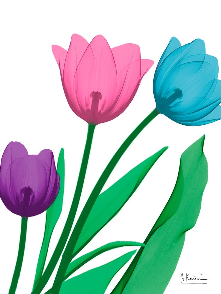 Shiny Tulips 2 art print by Albert Koetsier for $57.95 CAD