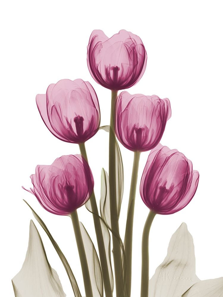 Vibrant Tulip Tower art print by Albert Koetsier for $57.95 CAD