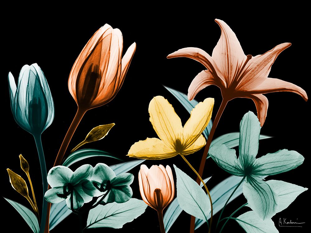 Bright In Darkness 2 art print by Albert Koetsier for $57.95 CAD