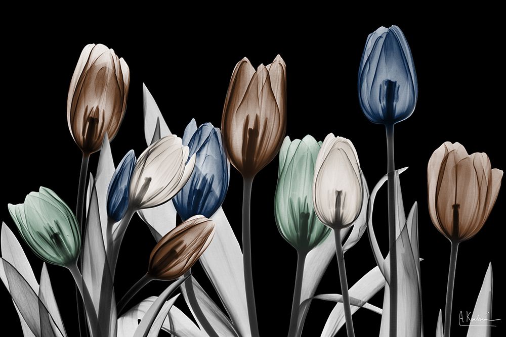 Dark Dramatic Freedom art print by Albert Koetsier for $57.95 CAD