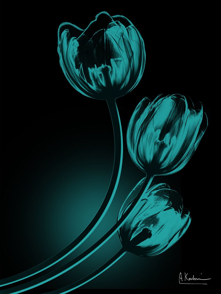 Teal Tulips In Shadow 2 art print by Albert Koetsier for $57.95 CAD