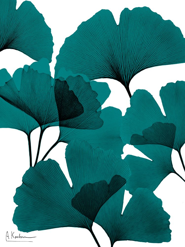 Teal Ginko Bunch 1 art print by Albert Koetsier for $57.95 CAD