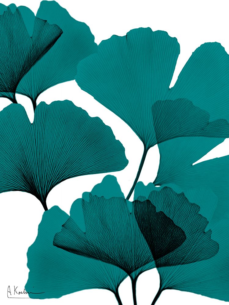 Teal Ginko Bunch 2 art print by Albert Koetsier for $57.95 CAD
