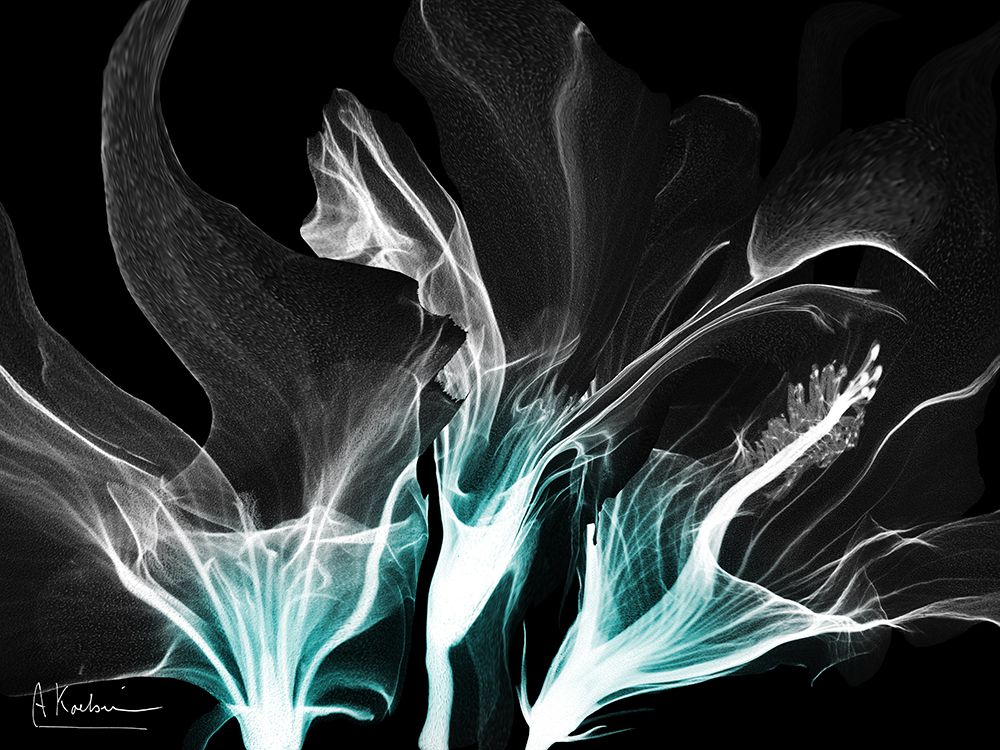 Teal In Darkness 4 art print by Albert Koetsier for $57.95 CAD