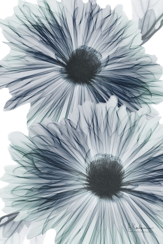 Exasperated Beauty 1 art print by Albert Koetsier for $57.95 CAD