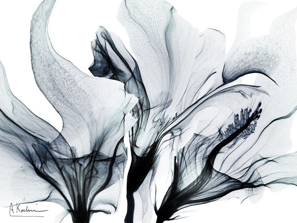 Stunning Ambition 2 art print by Albert Koetsier for $57.95 CAD