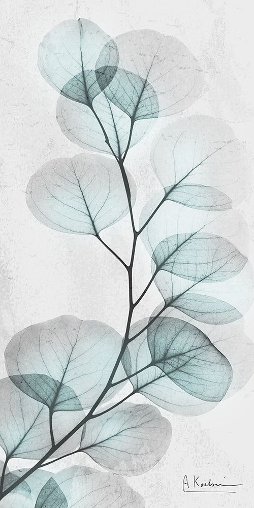 Eucalyptus Glow 1 art print by Albert Koetsier for $57.95 CAD