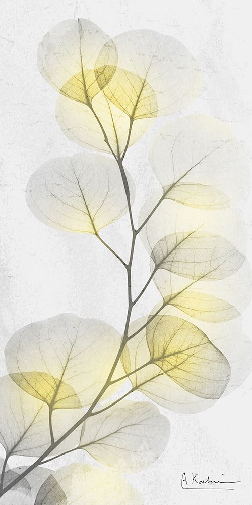 Eucalyptus Sunshine 1 art print by Albert Koetsier for $57.95 CAD