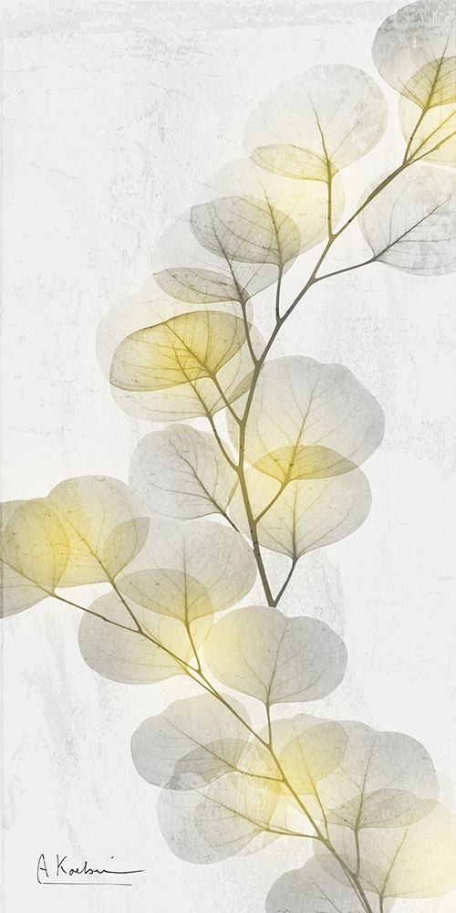 Eucalyptus Sunshine 2 art print by Albert Koetsier for $57.95 CAD