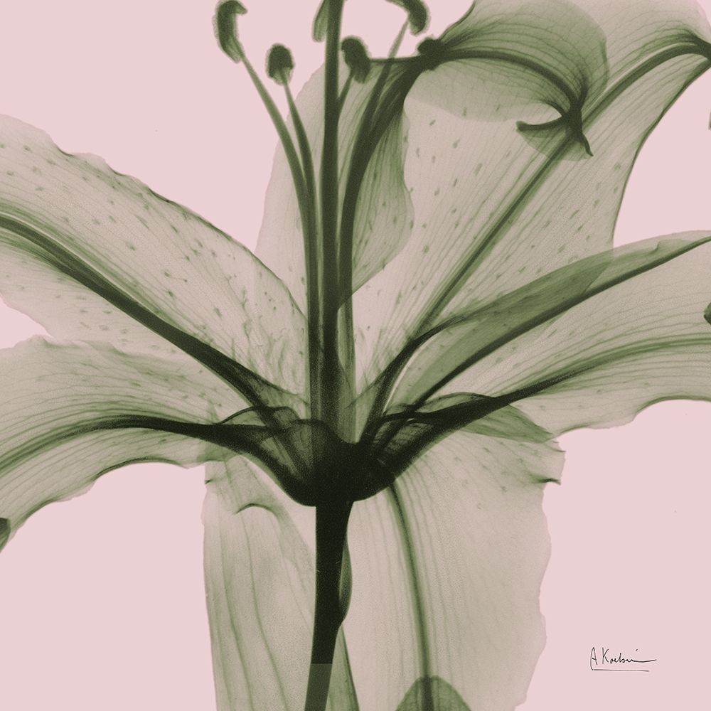 Lovers Lily art print by Albert Koetsier for $57.95 CAD