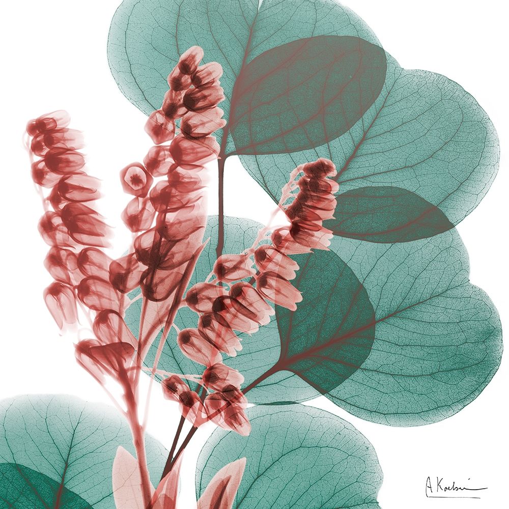 Blushing Lilly Of Eucalyptus 1 art print by Albert Koetsier for $57.95 CAD