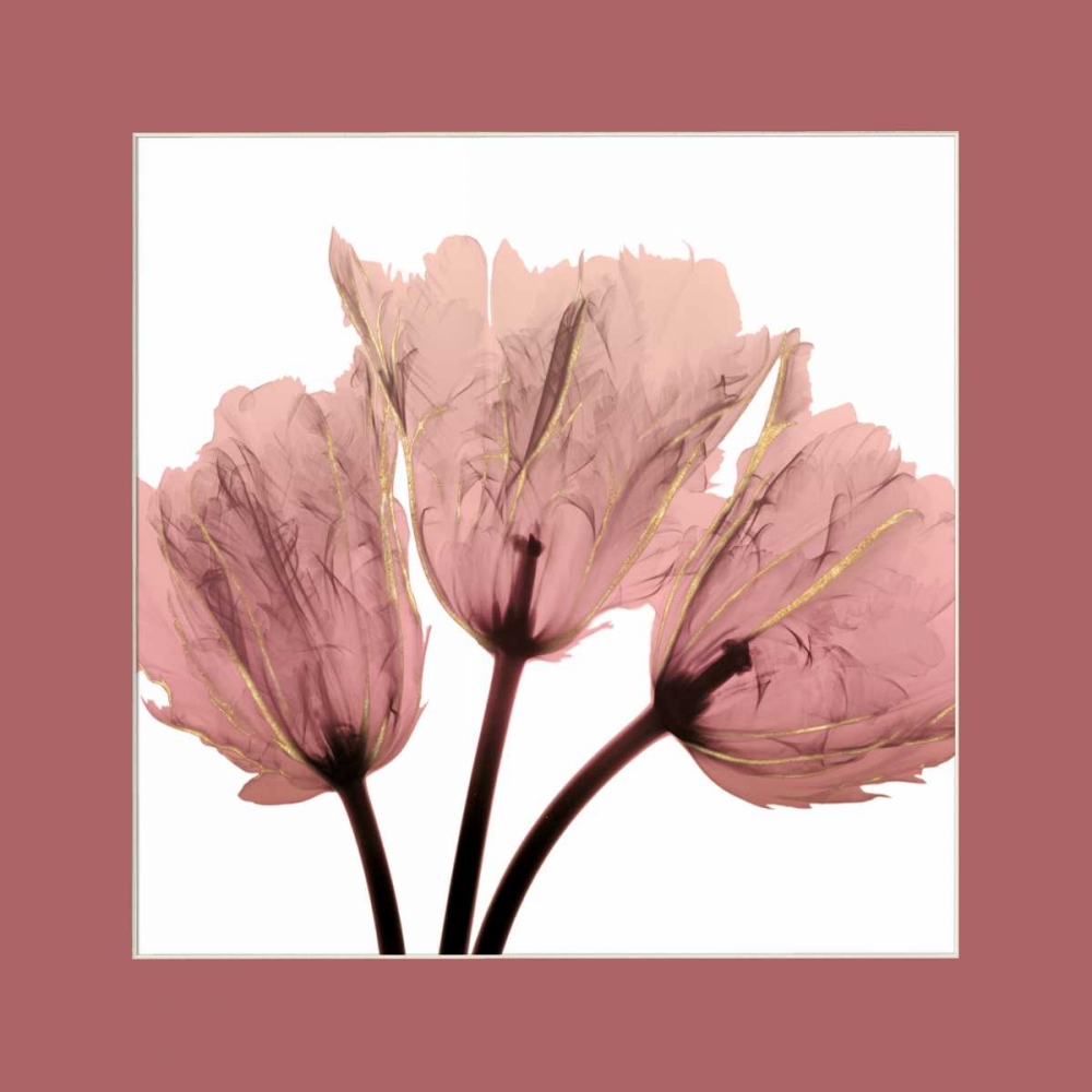 Alizarin Splendor 2 Border art print by Albert Koetsier for $57.95 CAD