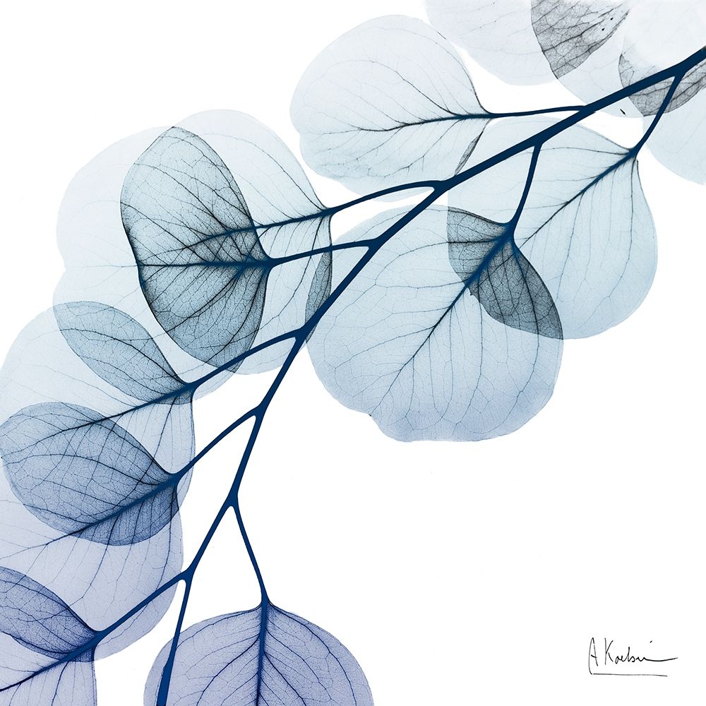 Blue Eucalyptus 1 art print by Albert Koetsier for $57.95 CAD