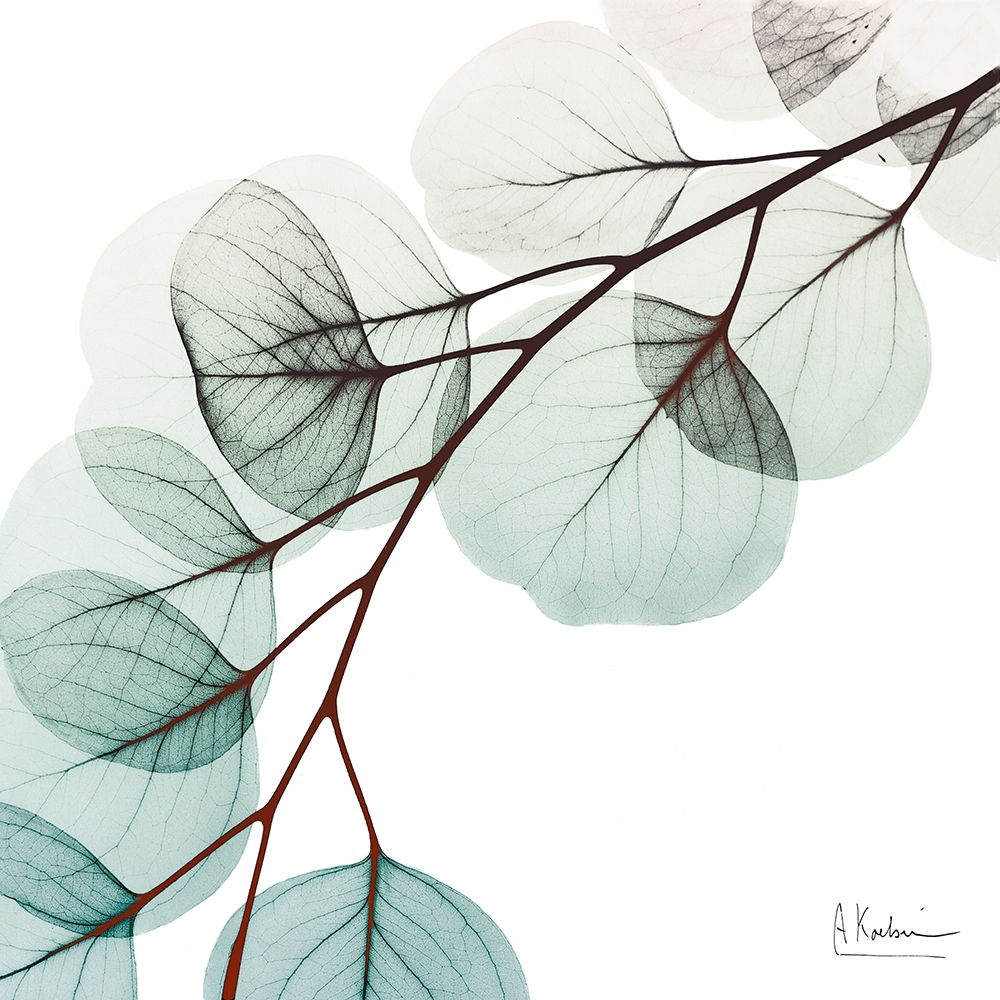 Extravagant Eucalyptus 1 art print by Albert Koetsier for $57.95 CAD