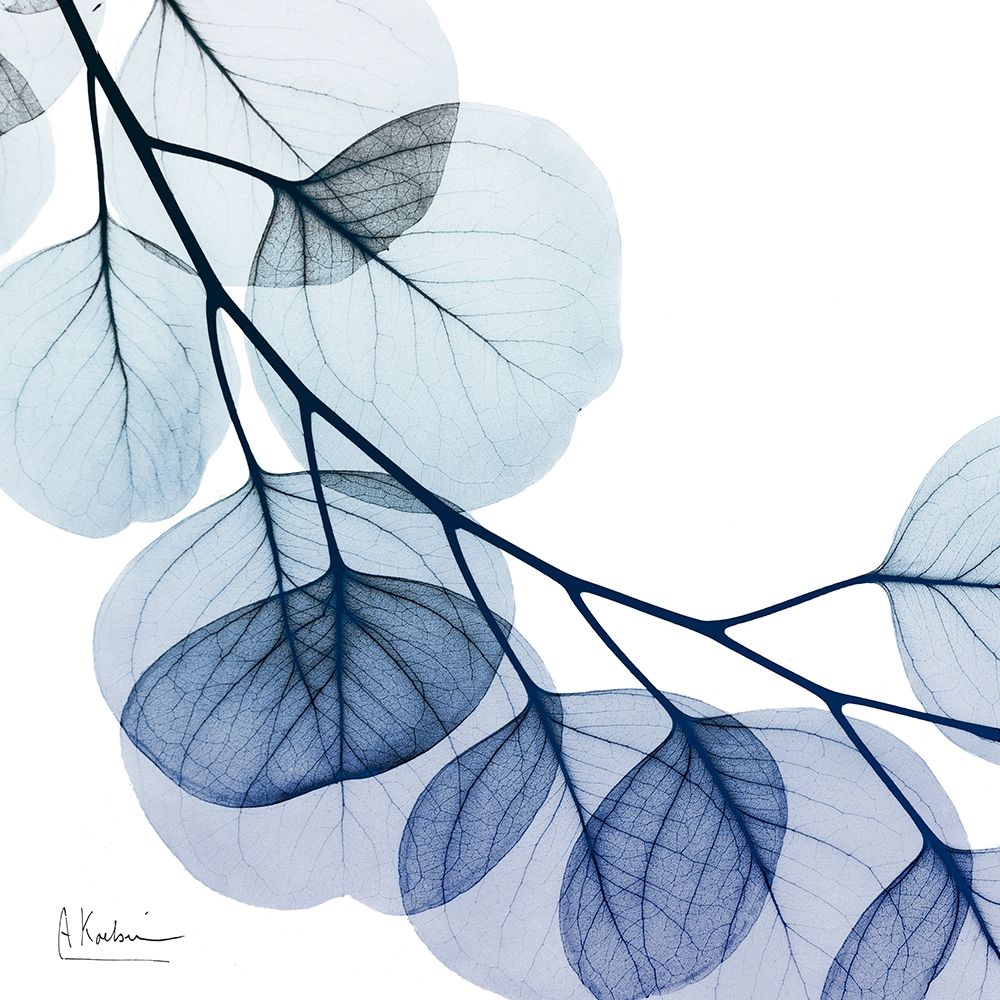Blue Eucalyptus 2 art print by Albert Koetsier for $57.95 CAD