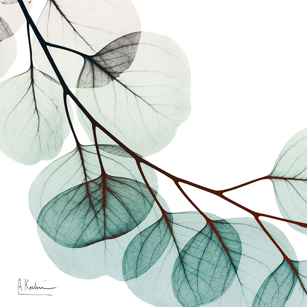 Extravagant Eucalyptus 2 art print by Albert Koetsier for $57.95 CAD