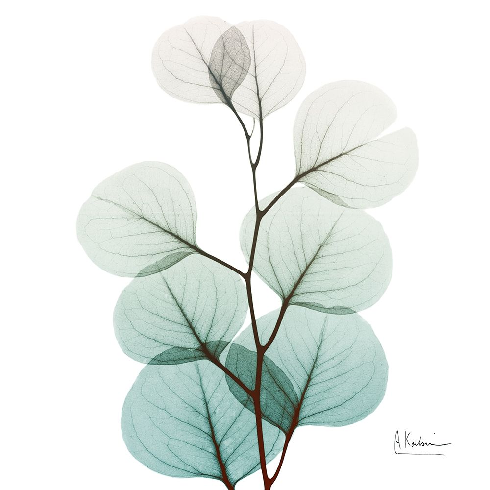 Extravagant Eucalyptus 3 art print by Albert Koetsier for $57.95 CAD