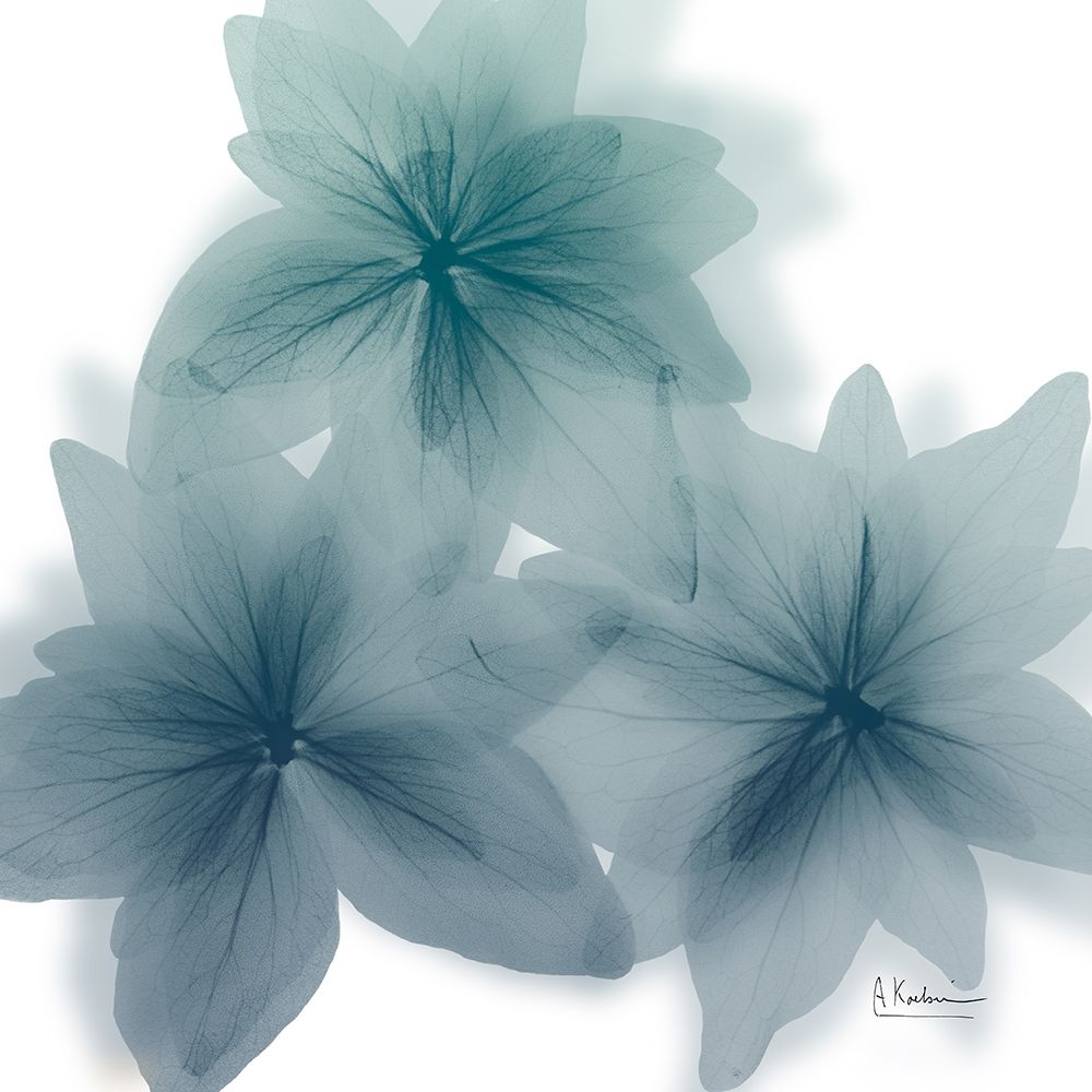 Nebulous Flora 1 art print by Albert Koetsier for $57.95 CAD