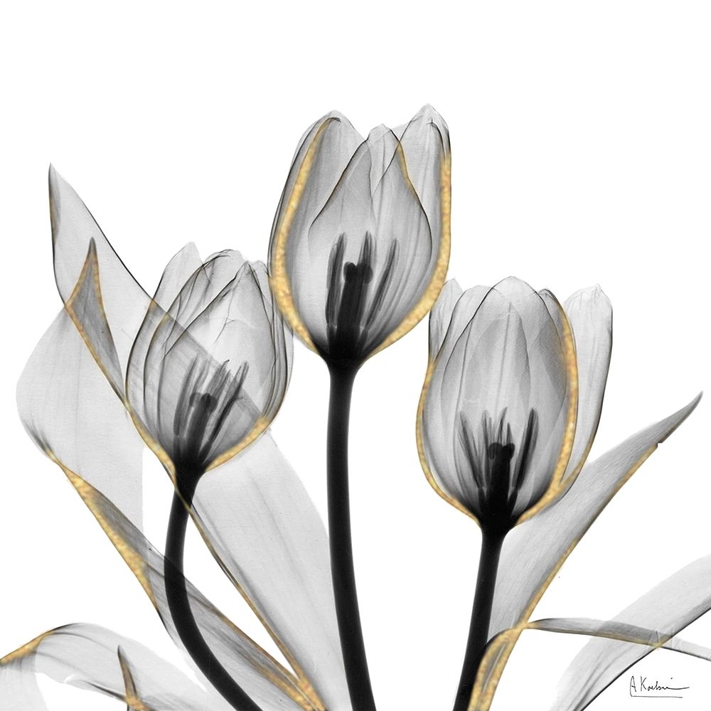 Gold Embellished Tulips 5 art print by Albert Koetsier for $57.95 CAD