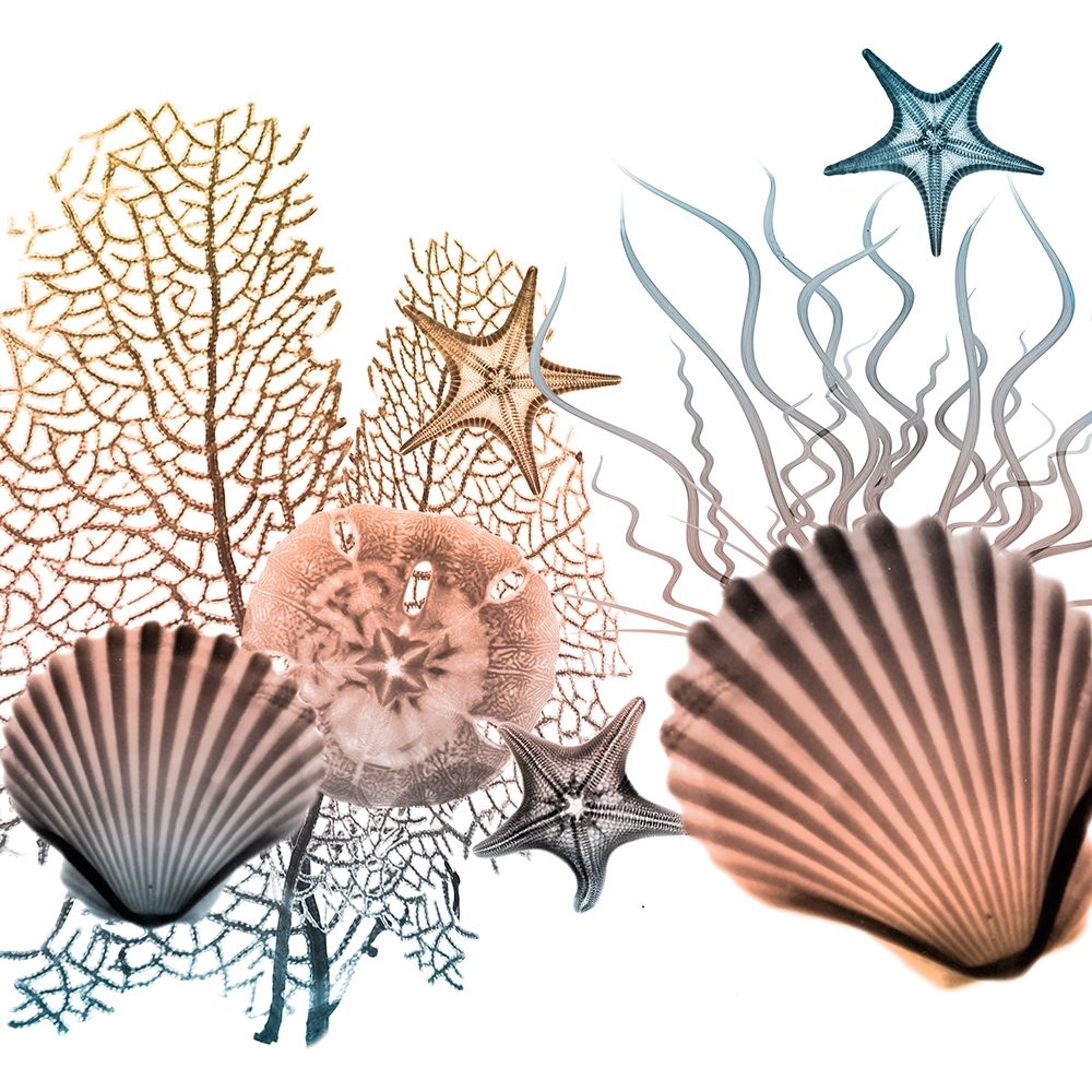 Ocean Bundles 2 art print by Albert Koetsier for $57.95 CAD