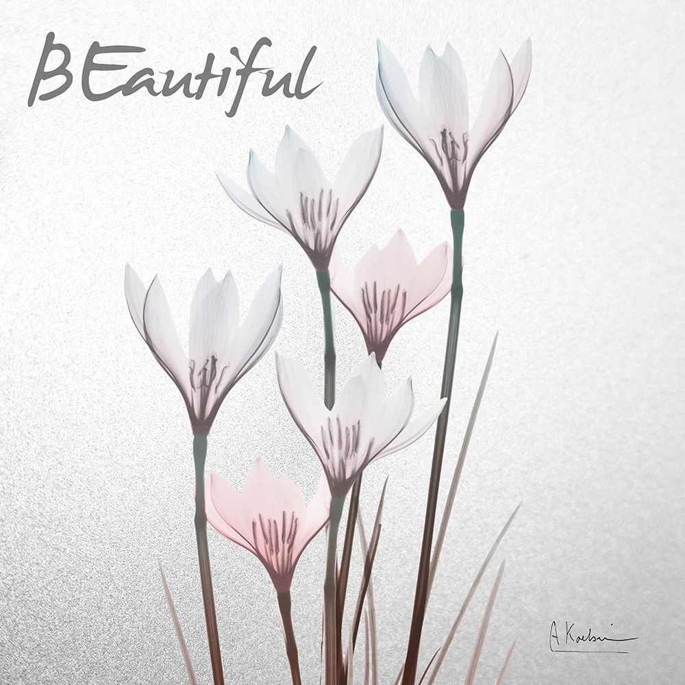 Beautiful White Rain Lily 1 art print by Albert Koetsier for $57.95 CAD