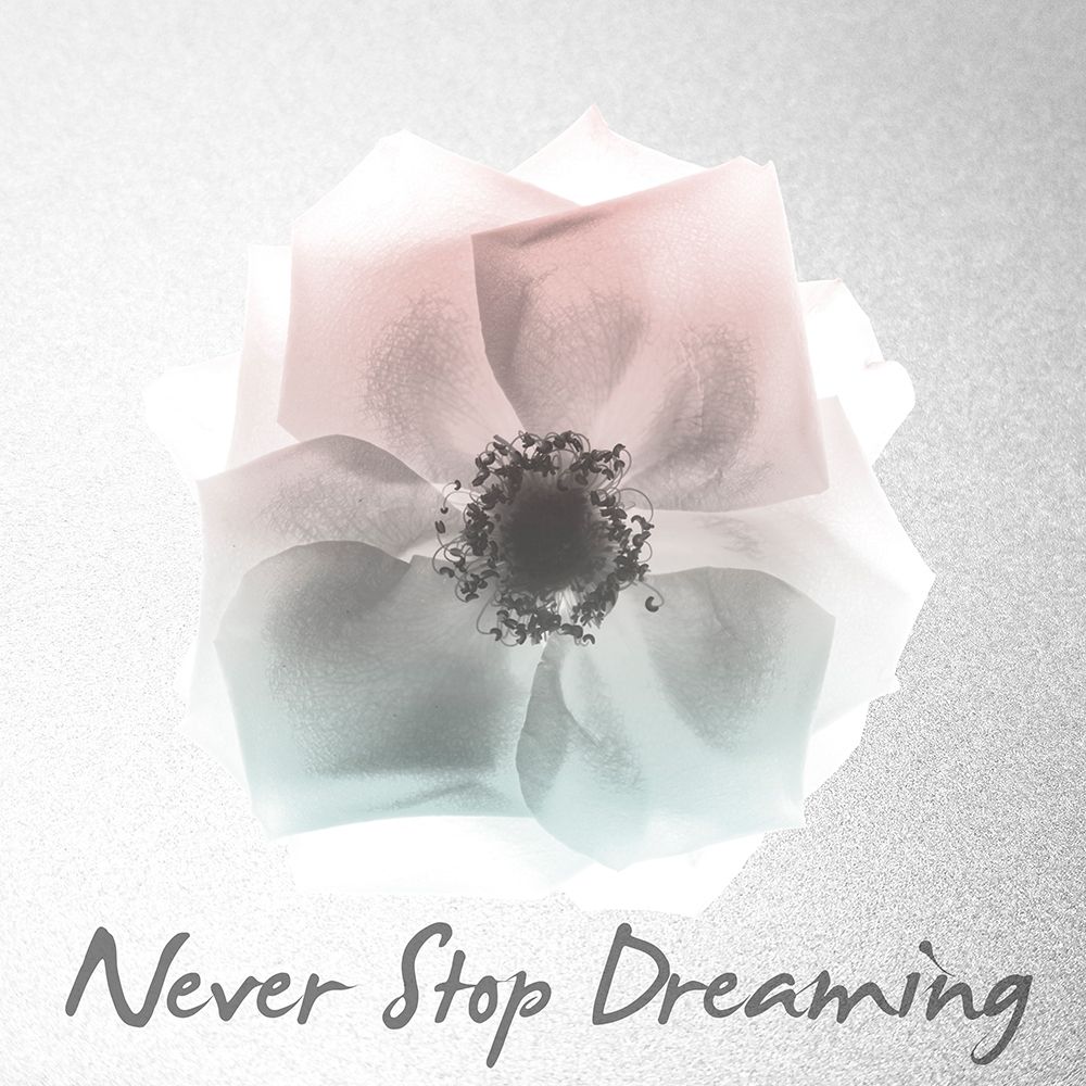 Never Stop Dreaming 1 art print by Albert Koetsier for $57.95 CAD