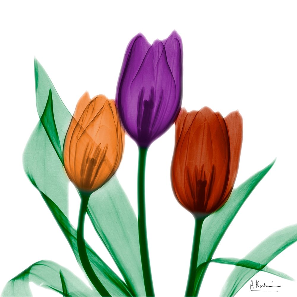 Jeweled Tulips 1 art print by Albert Koetsier for $57.95 CAD
