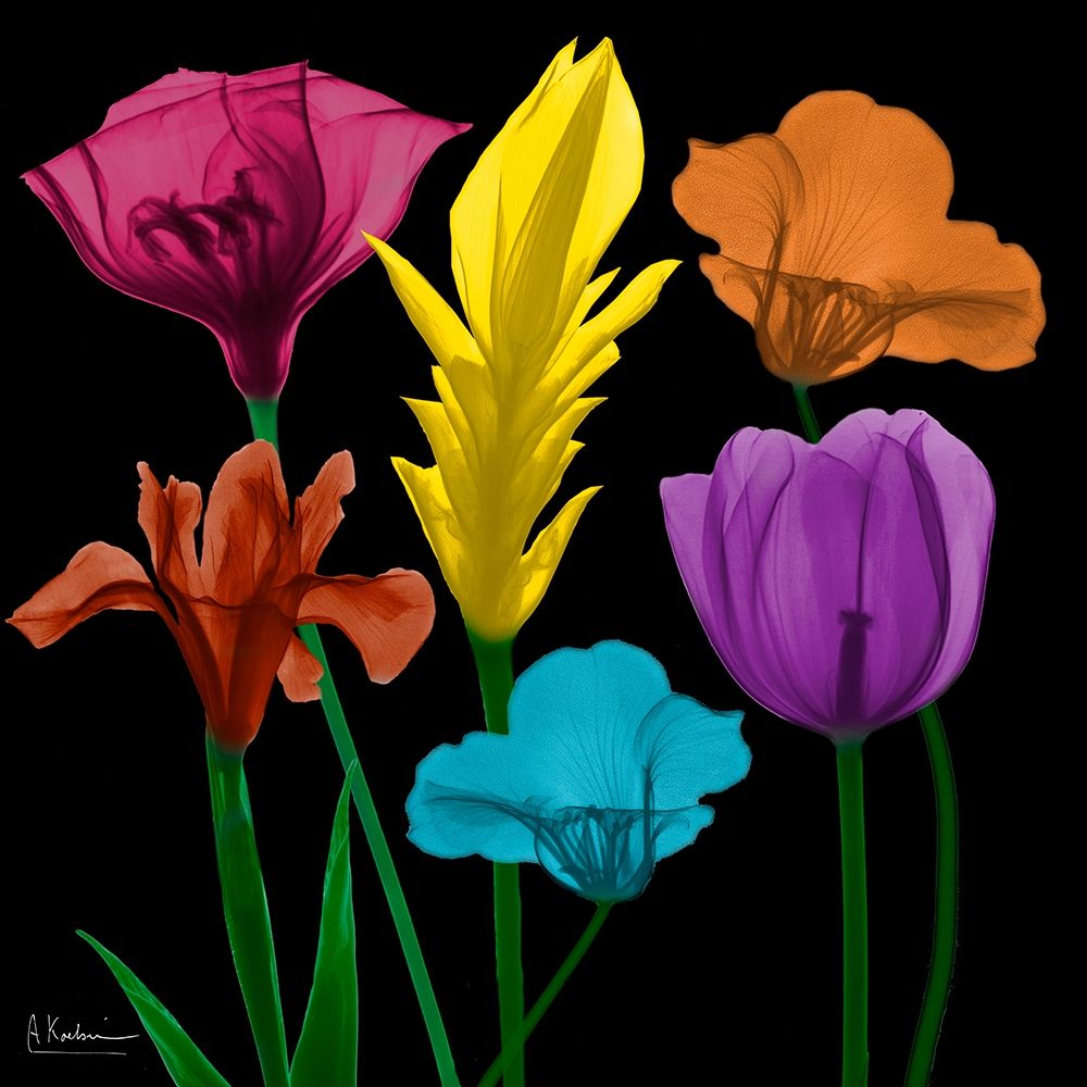 Jewel Floral Cluster 3 art print by Albert Koetsier for $57.95 CAD