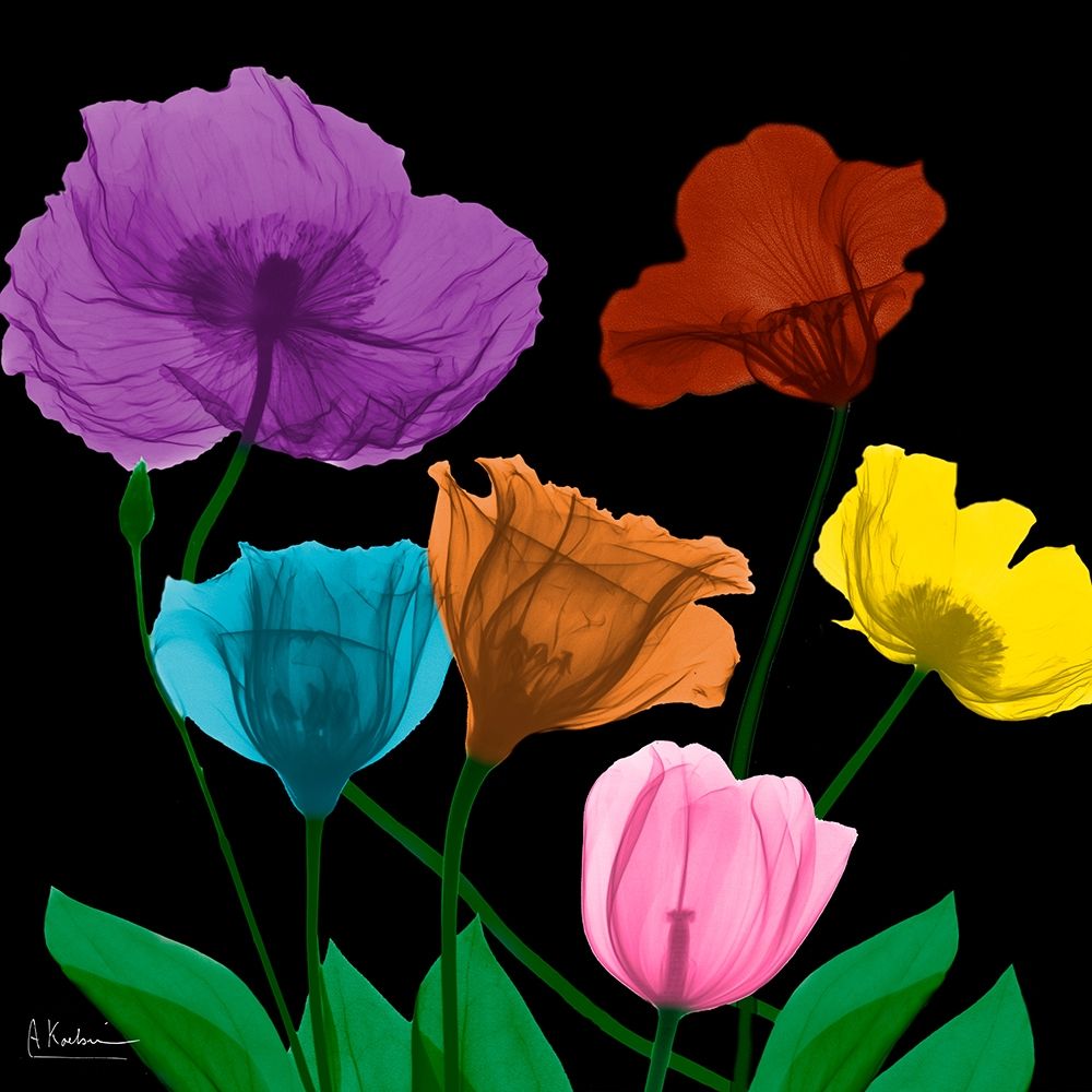 Jewel Floral Cluster 4 art print by Albert Koetsier for $57.95 CAD