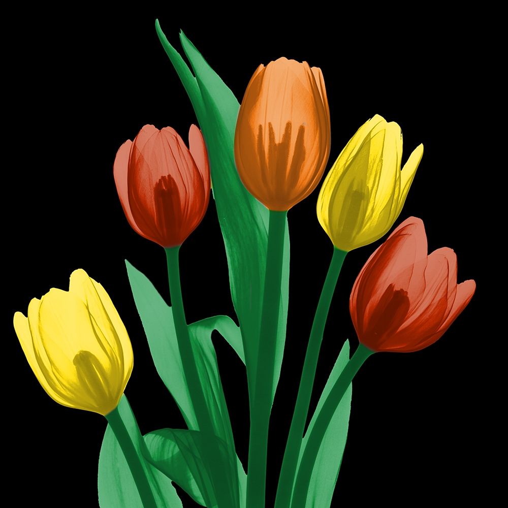 Jewel Embellished Tulips 3 art print by Albert Koetsier for $57.95 CAD
