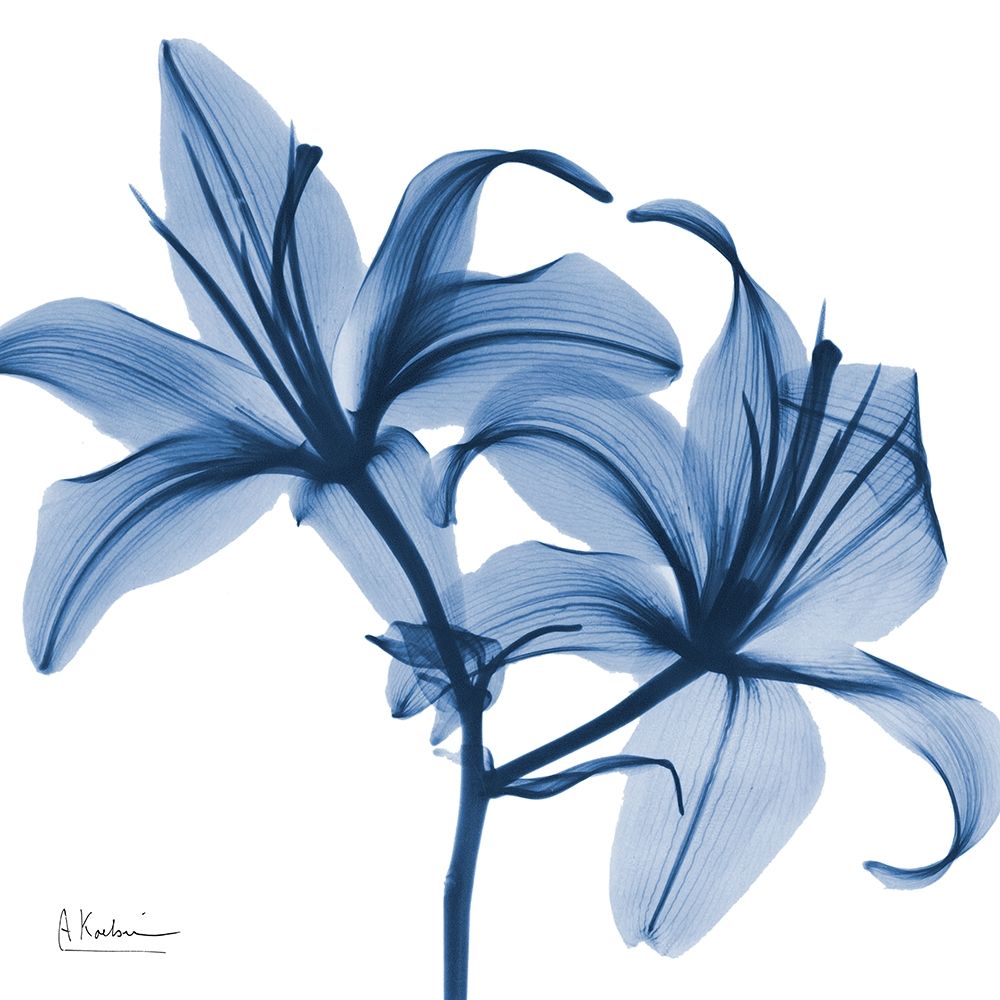 Indigo Infused Lily art print by Albert Koetsier for $57.95 CAD