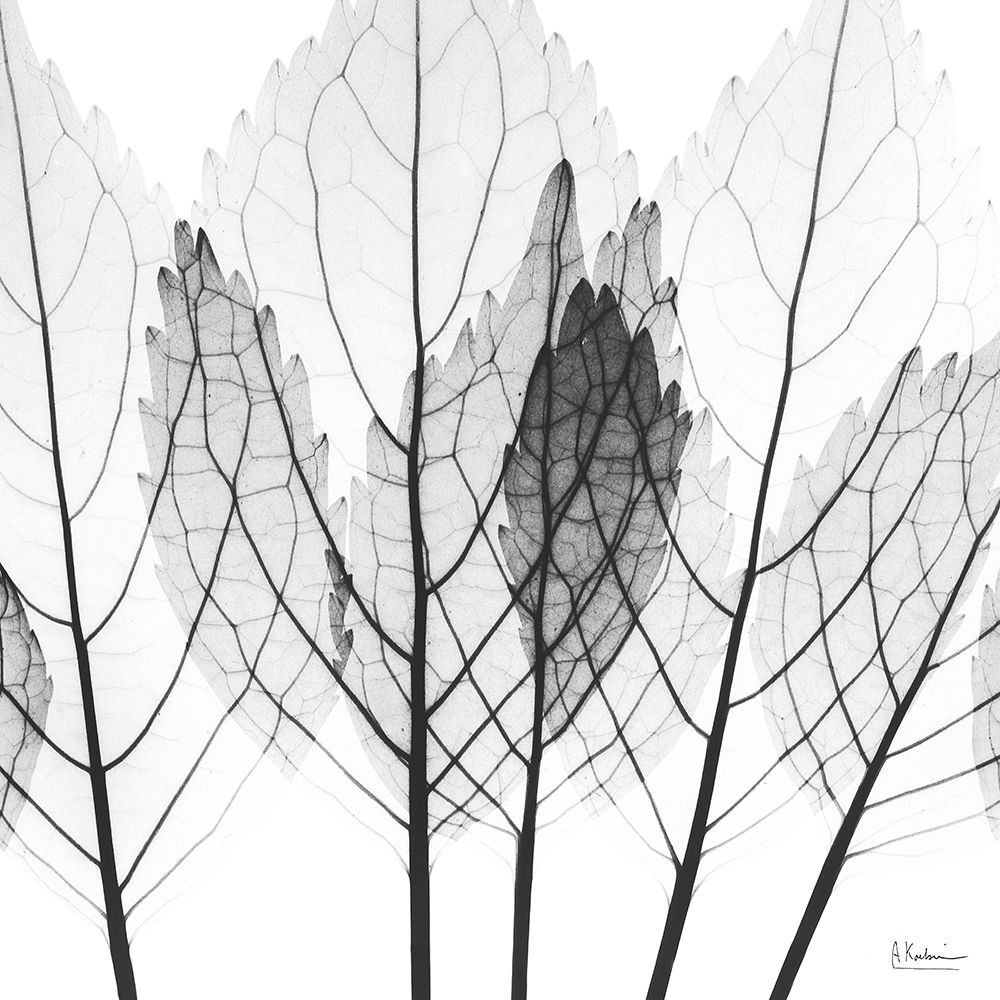 Monochromatic Growth art print by Albert Koetsier for $57.95 CAD