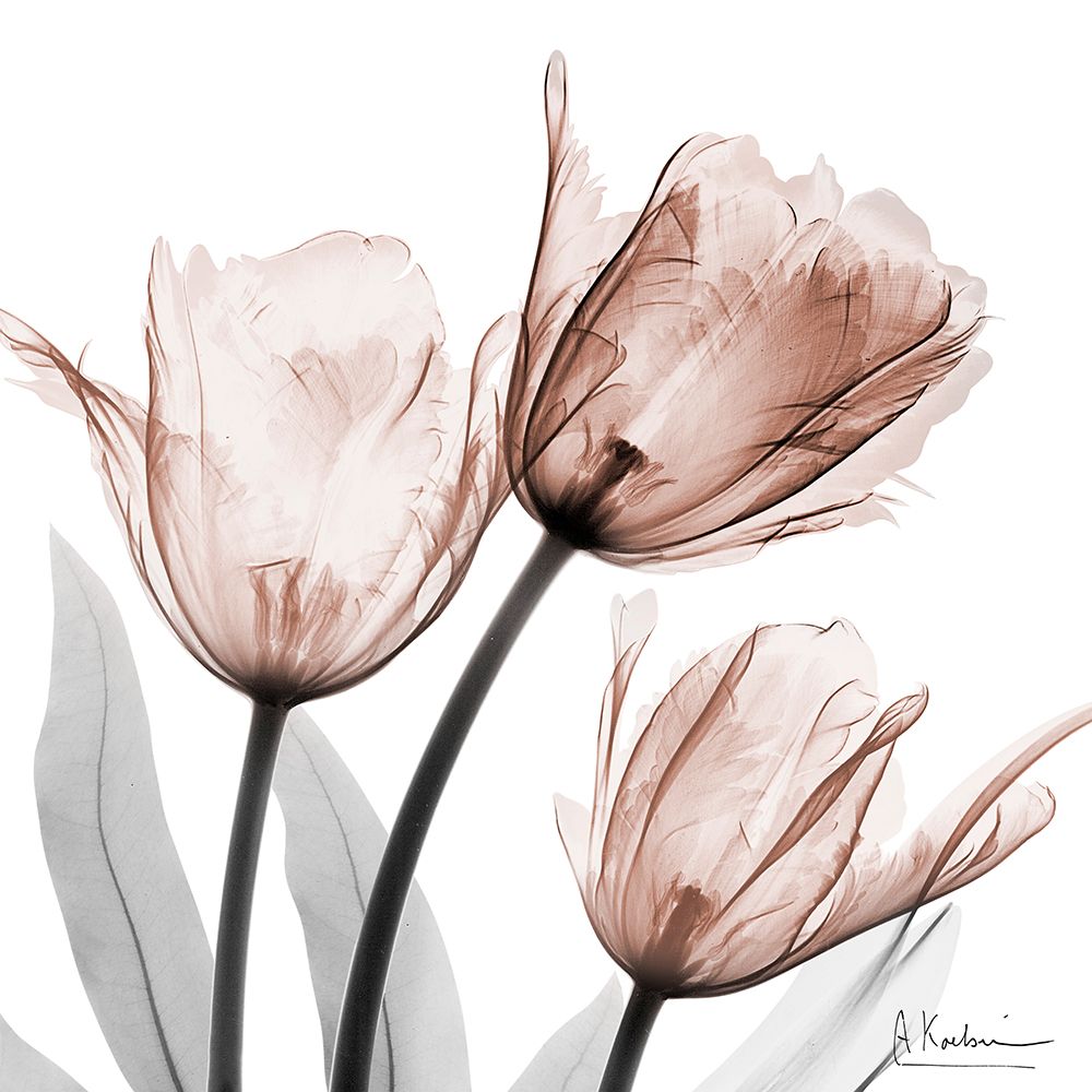 Spectacular Mocha Trio 2 art print by Albert Koetsier for $57.95 CAD