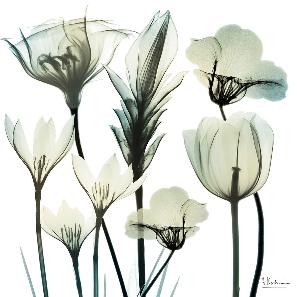 Creative Surprise 1 art print by Albert Koetsier for $57.95 CAD