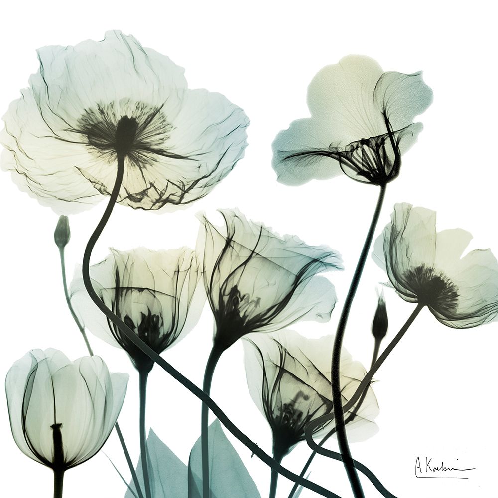 Creative Surprise 2 art print by Albert Koetsier for $57.95 CAD