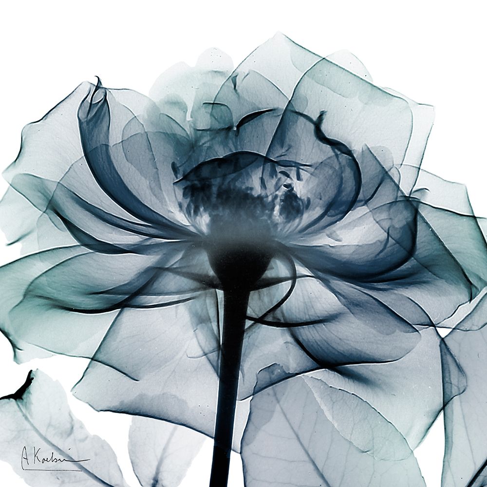 Euphoric Riddle 2 art print by Albert Koetsier for $57.95 CAD