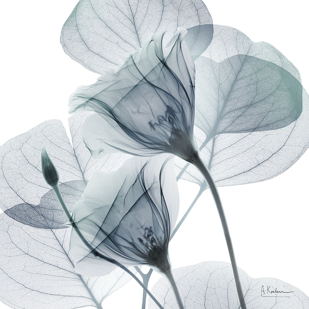 Enchanting Divide 1 art print by Albert Koetsier for $57.95 CAD