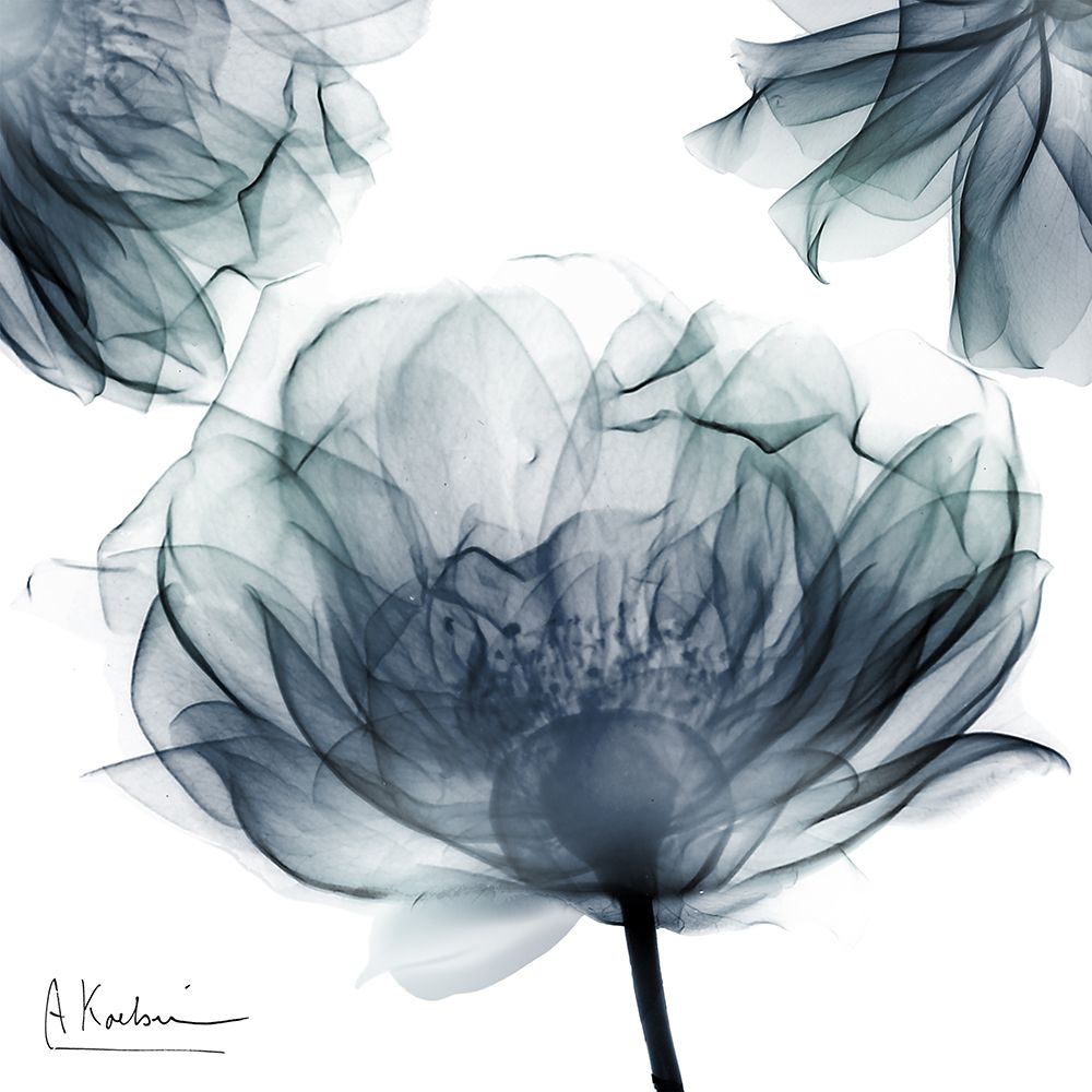 Wonder Of Grace art print by Albert Koetsier for $57.95 CAD