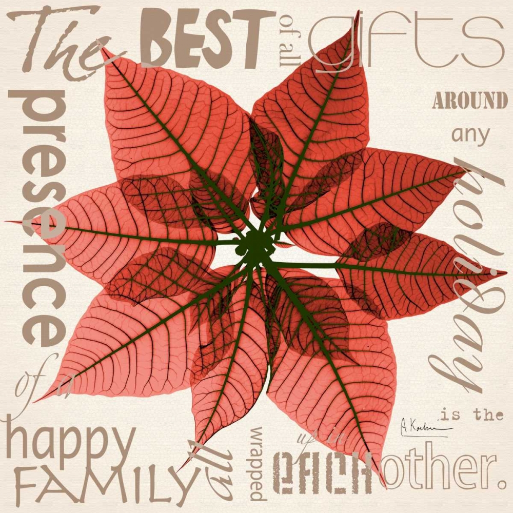 Poinsettia art print by Albert Koetsier for $57.95 CAD