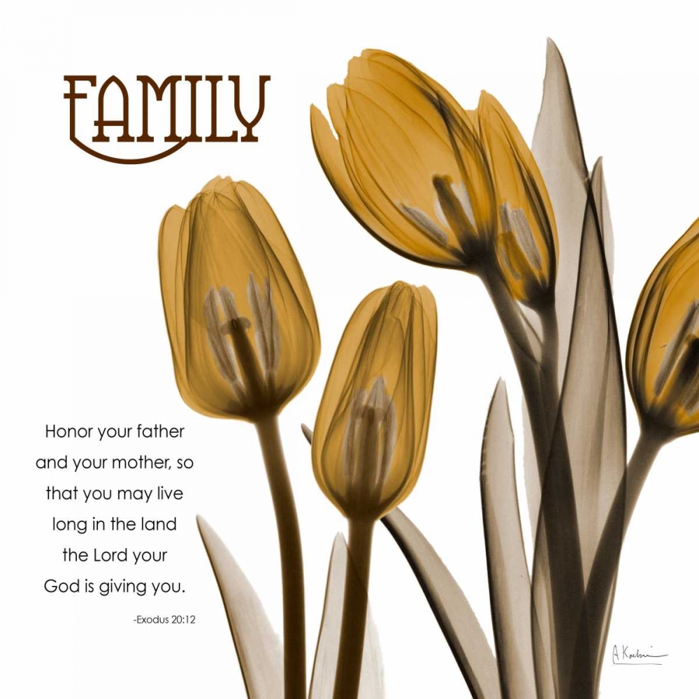 TulipsFamily art print by Albert Koetsier for $57.95 CAD