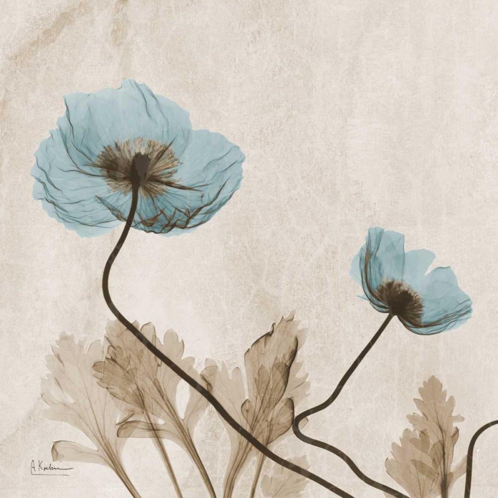 Poppies L167 art print by Albert Koetsier for $57.95 CAD