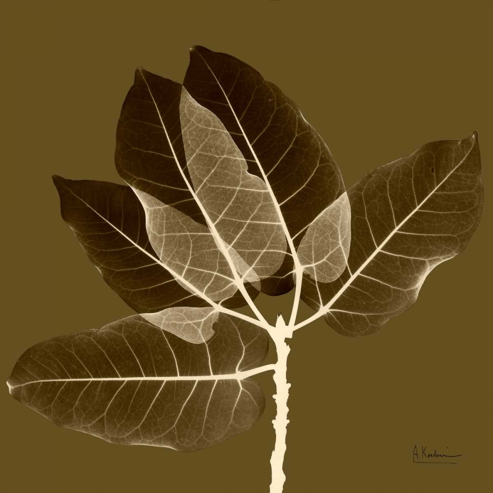 Harvest Leaves 1D art print by Albert Koetsier for $57.95 CAD