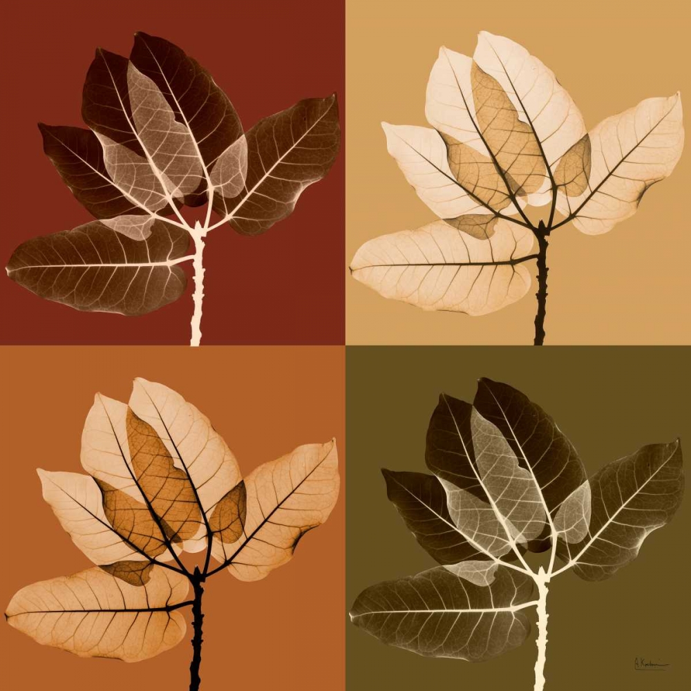 Harvest Leaves 1 art print by Albert Koetsier for $57.95 CAD