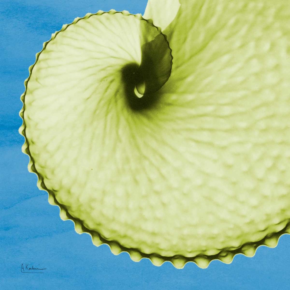 Argonaut art print by Albert Koetsier for $57.95 CAD