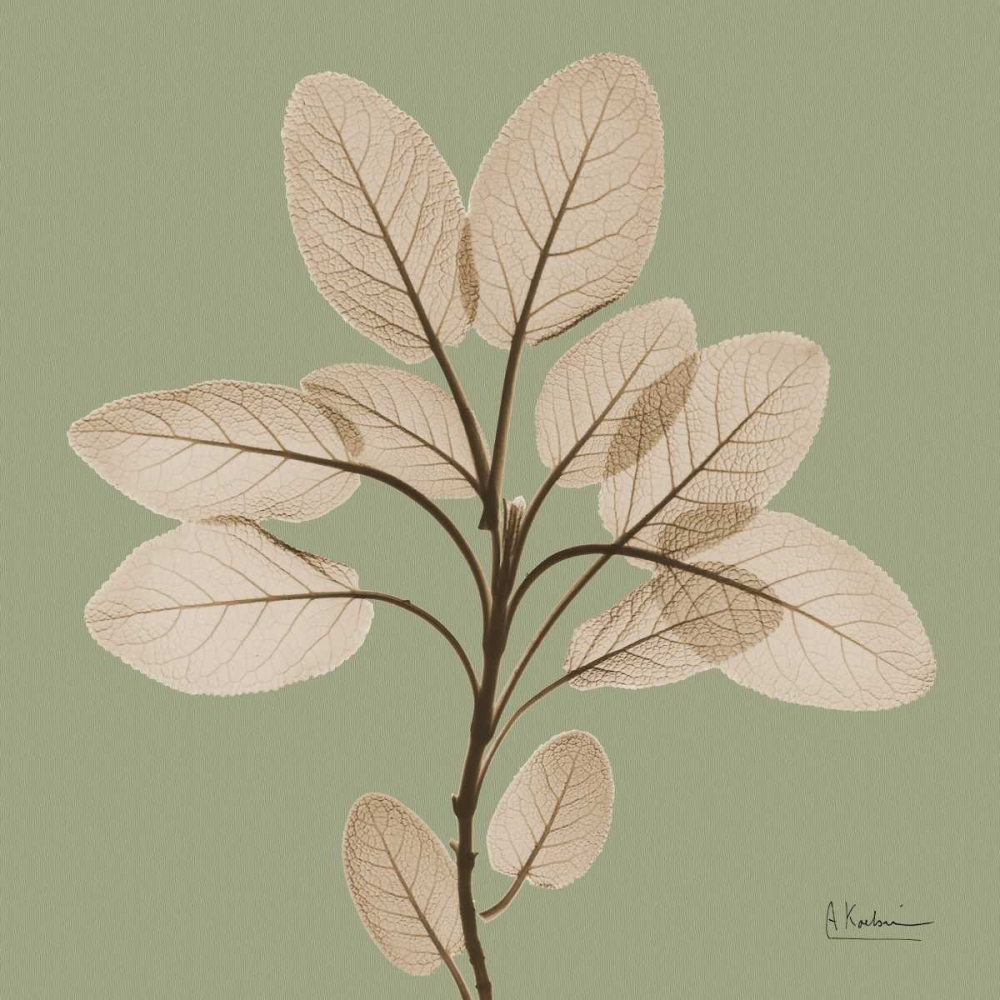 Berggarten Sage art print by Albert Koetsier for $57.95 CAD