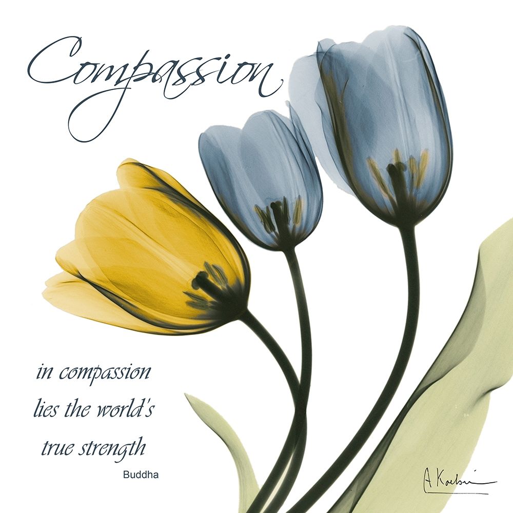 Tulips Compassion art print by Albert Koetsier for $57.95 CAD