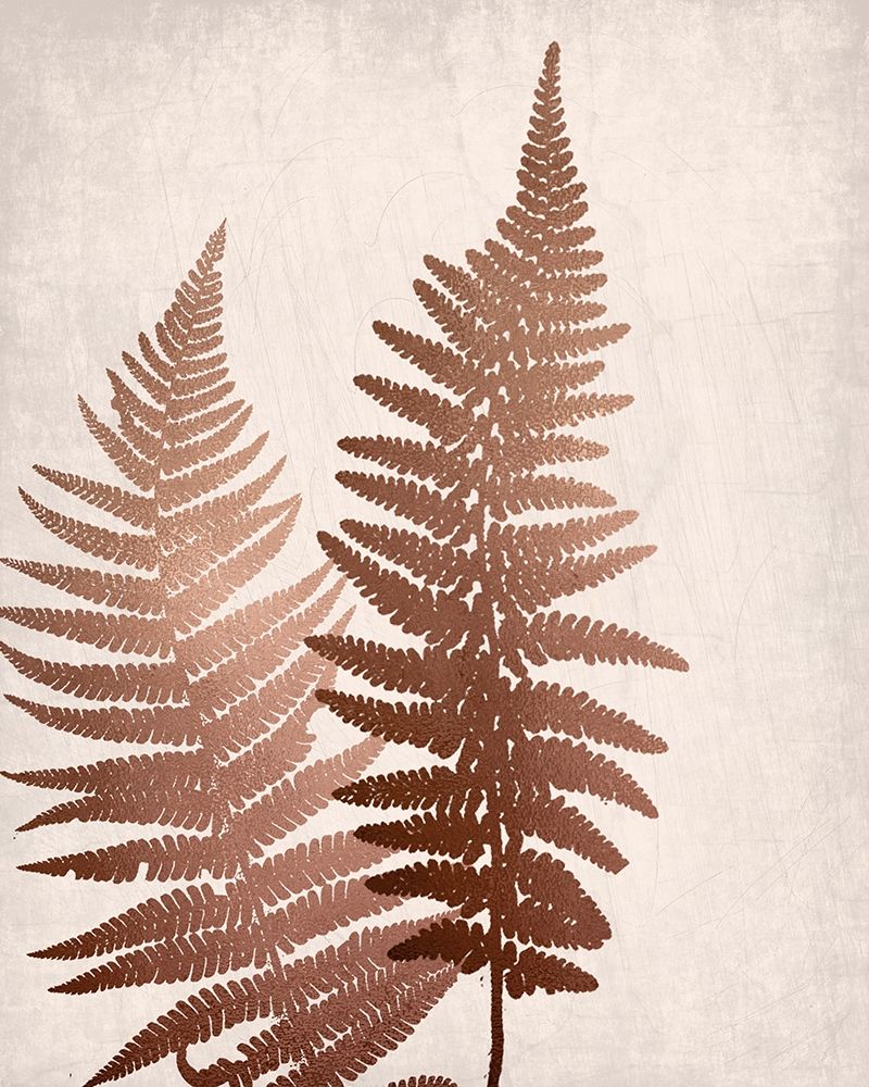 Copper Pink Ferns 1 art print by Ann Bailey for $57.95 CAD