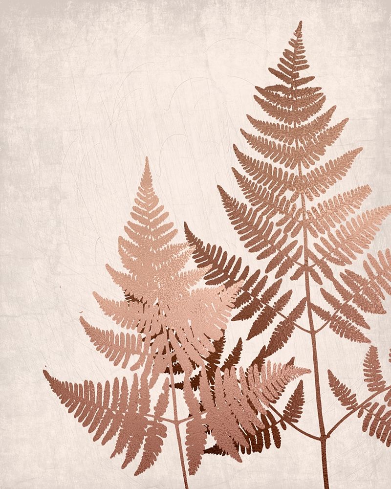 Copper Pink Ferns 2 art print by Ann Bailey for $57.95 CAD
