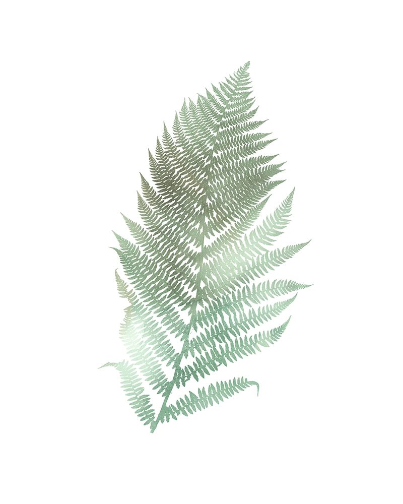 Watercolor Fern 2 art print by Ann Bailey for $57.95 CAD