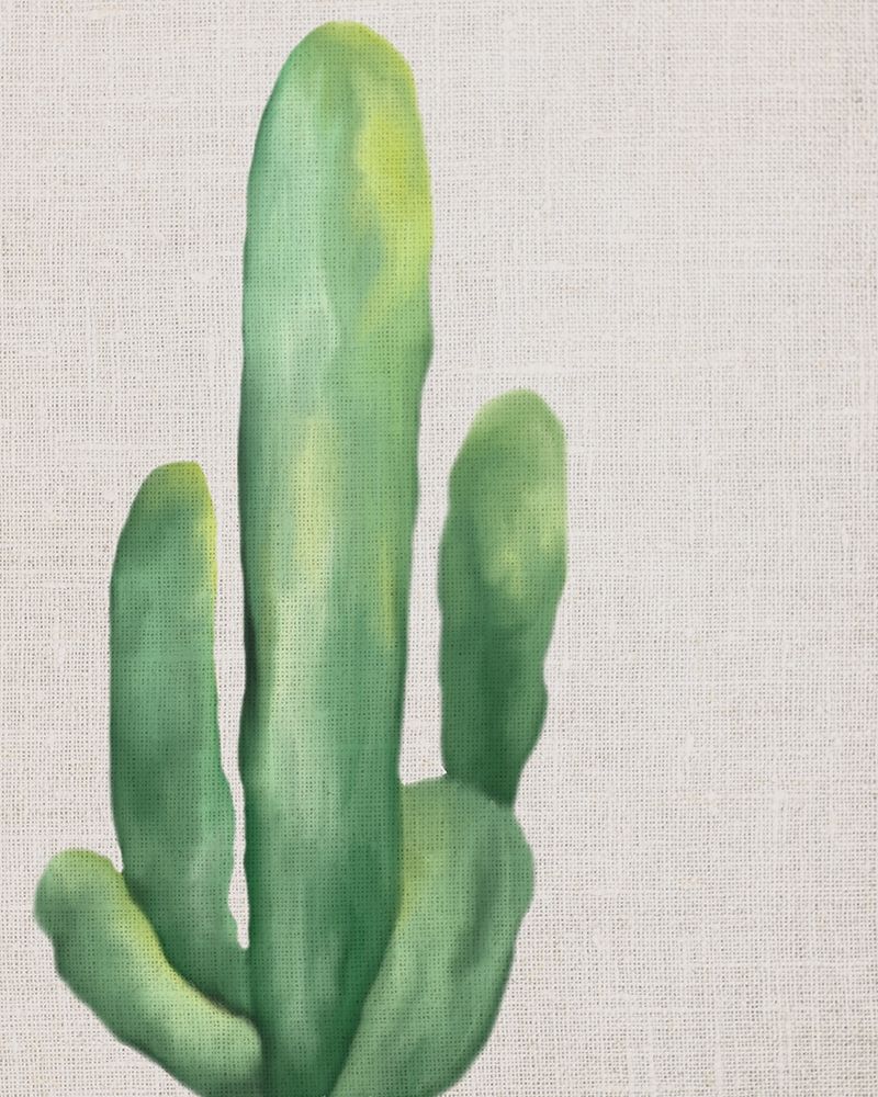Linen Cactus 1 art print by Ann Bailey for $57.95 CAD